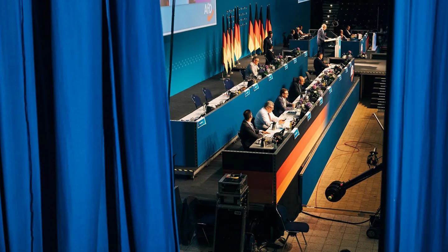 Essay: Warum politische Panik der AfD in die Hände spielt