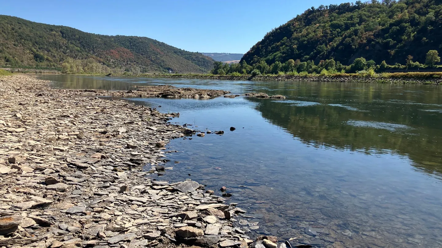 Niedrigwasser: Am Rhein bleibt kaum mehr als ein Rinnsal